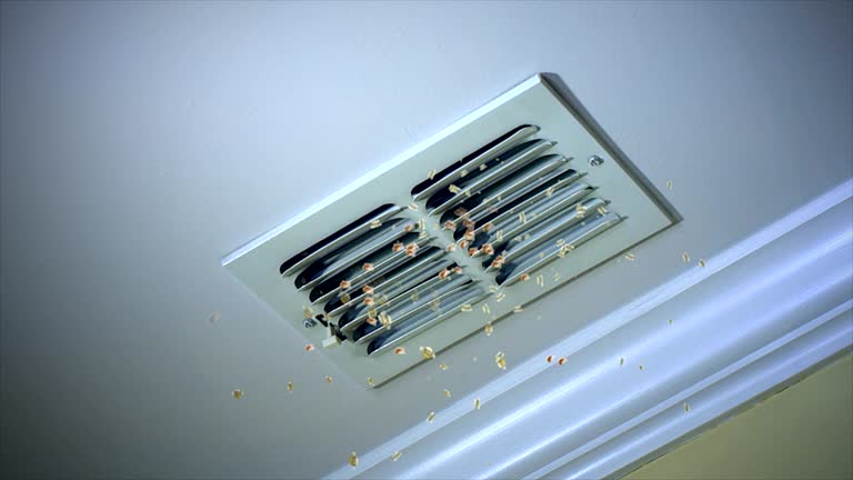HVAC System Cleaning in IN